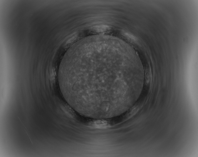 X0000087410279200705041254