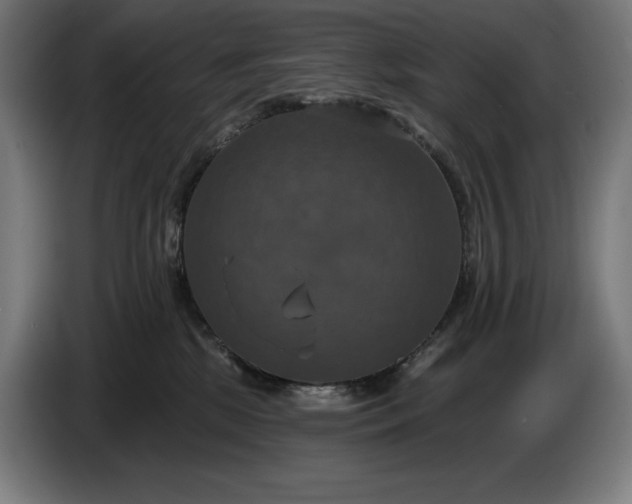 X0000087410281200705041254