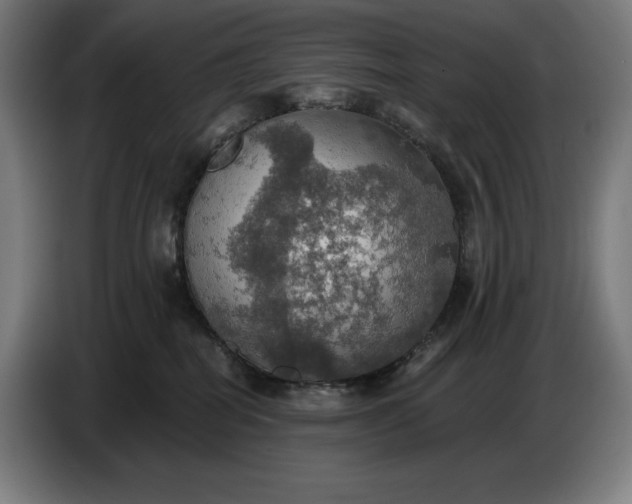 X0000087410282200705041254