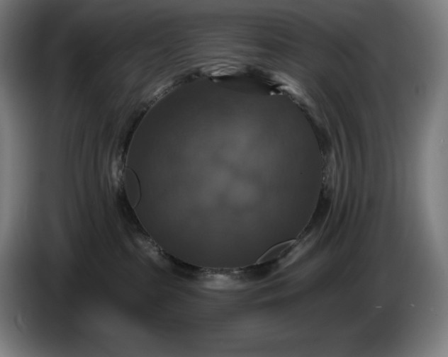 X0000087410285200705041254