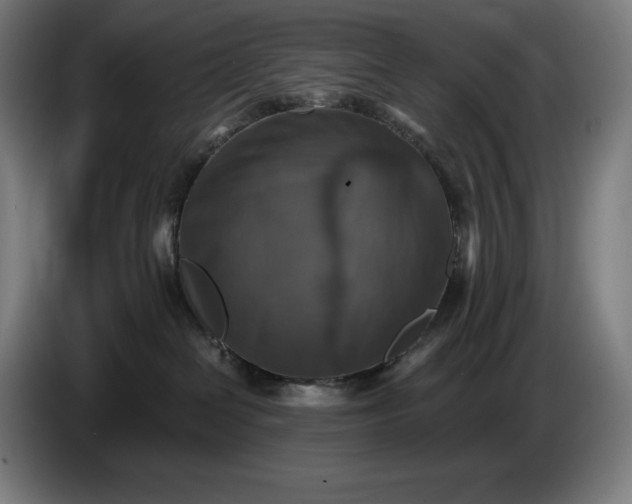 X0000087410286200705041254