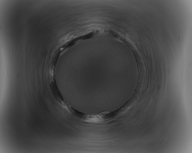 X0000087410288200705041254