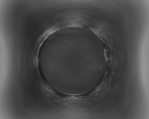 X0000087410290200705041253