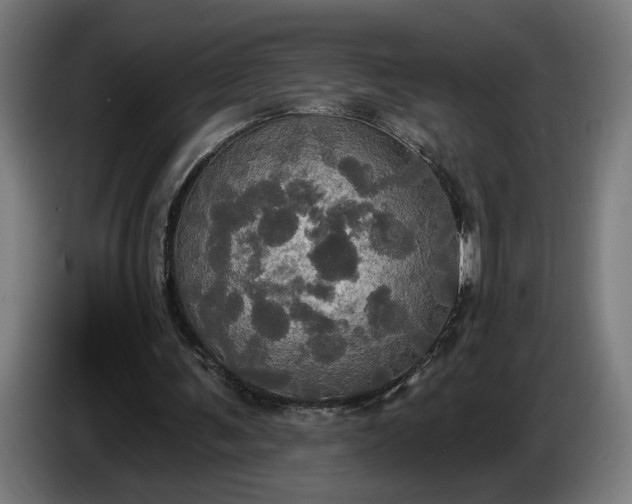 X0000087410291200705041253