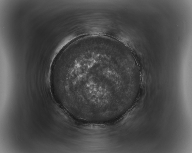 X0000087410292200705041253