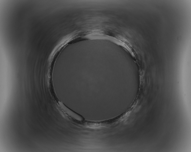 X0000087410293200705041253