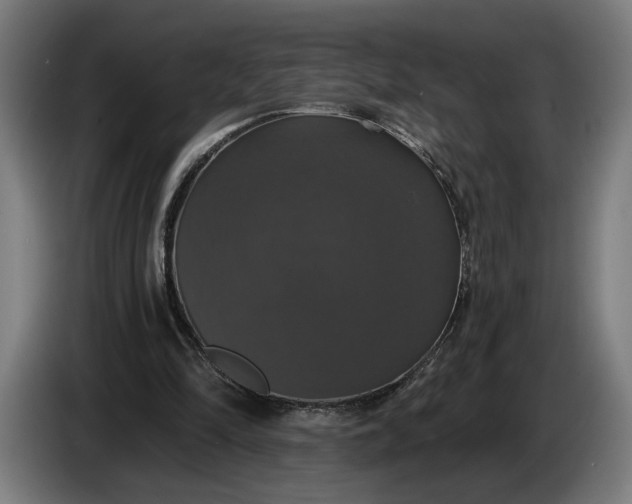 X0000087410294200705041253