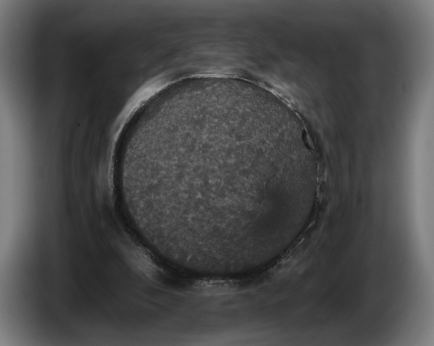 X0000087410296200705041253