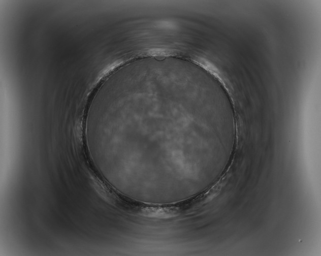 X0000087410297200705041253