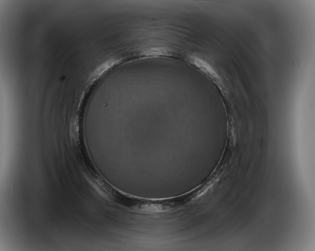 X0000087410298200705041253