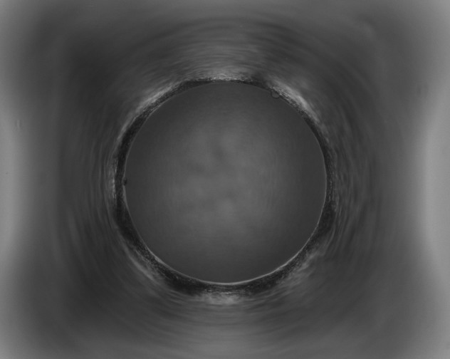 X0000087410299200705041253