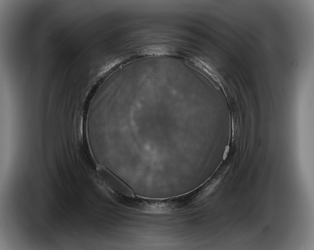 X0000087410301200705041253