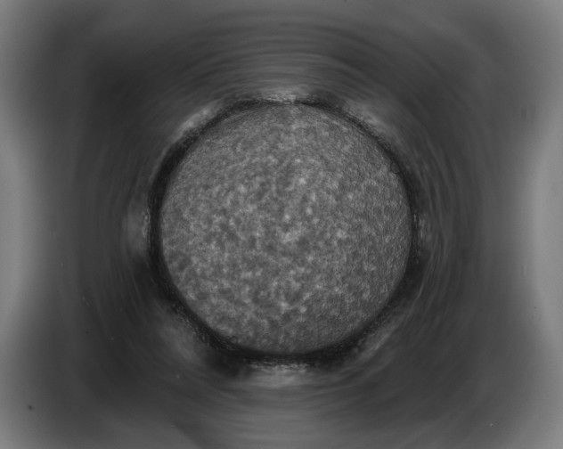 X0000087410304200705041253