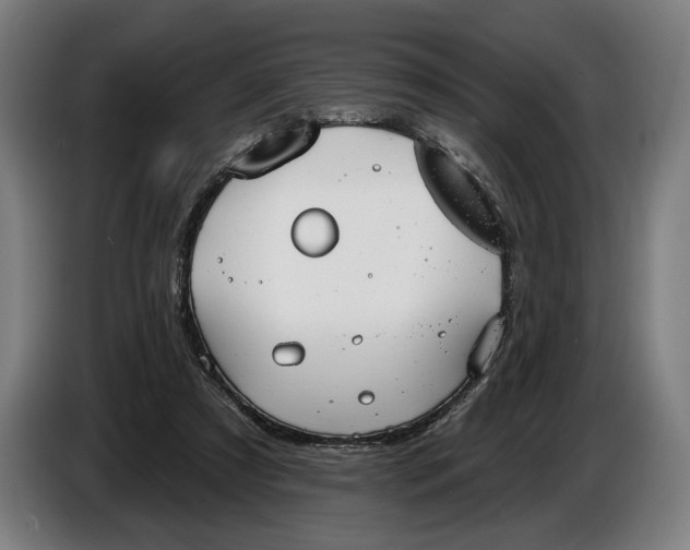 X0000087410305200705041253