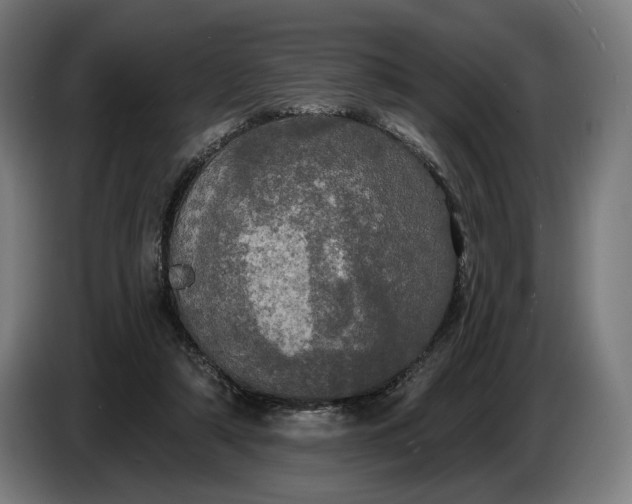 X0000087410306200705041253