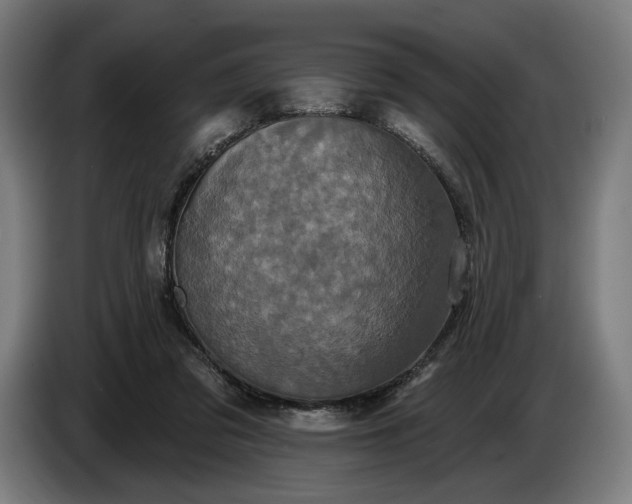 X0000087410309200705041253