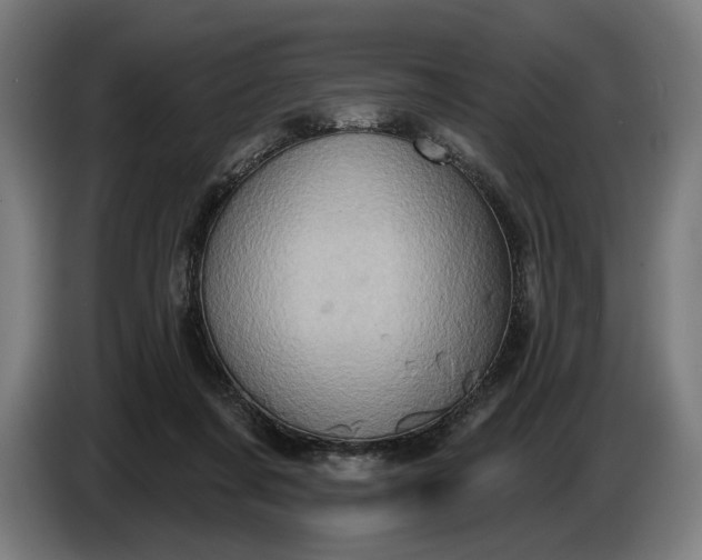 X0000087410311200705041253