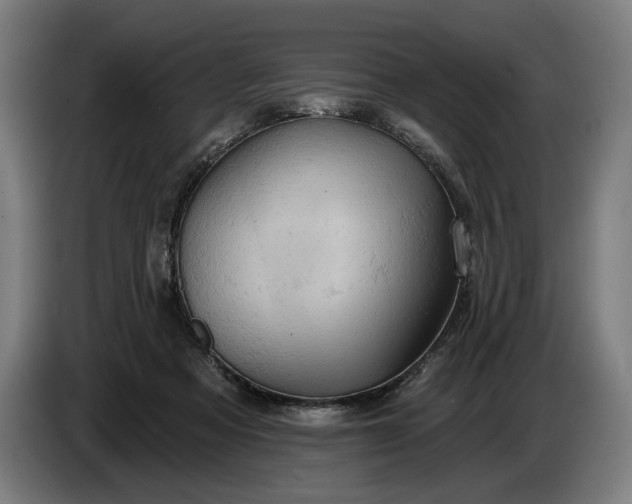 X0000087410313200705041253