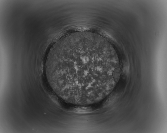 X0000087410315200705041253