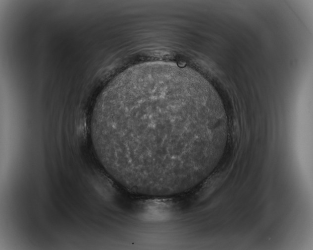 X0000087410320200705041253