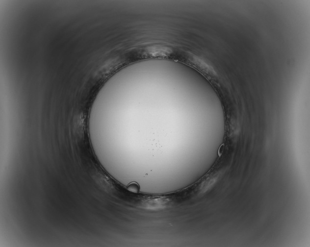 X0000087410321200705041253