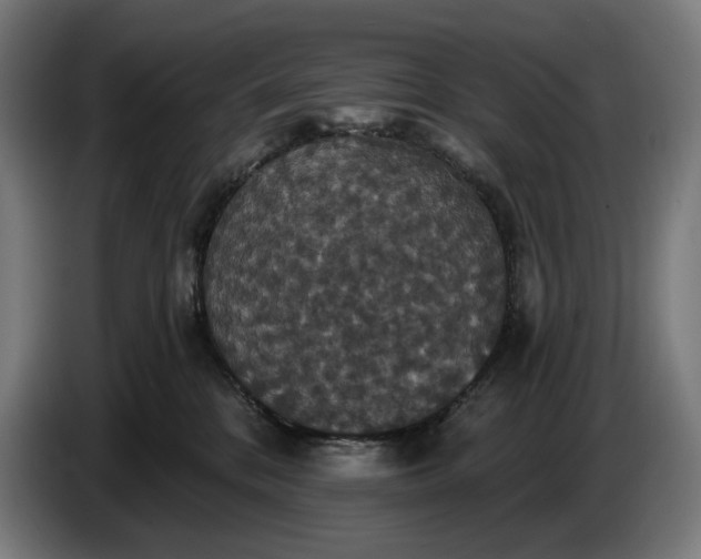 X0000087410328200705041253