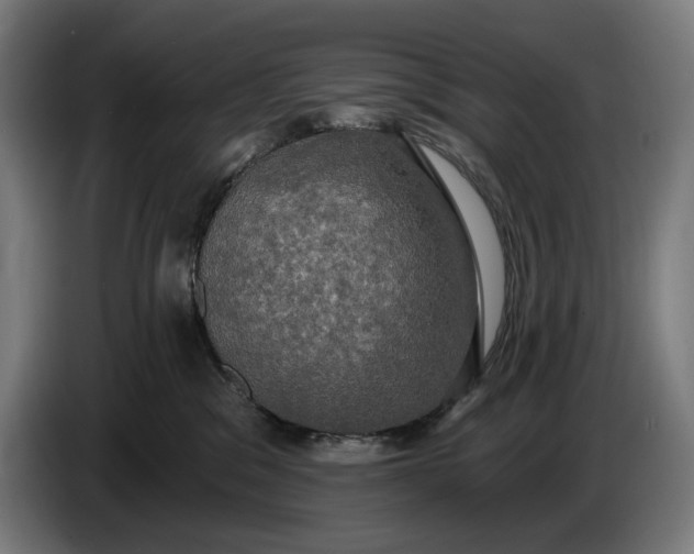 X0000087410329200705041253