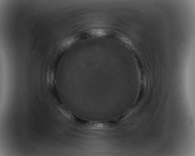 X0000087410330200705041253