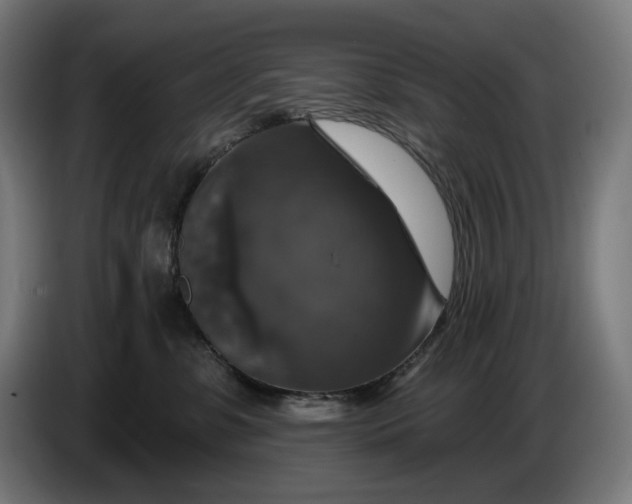 X0000087410331200705041253