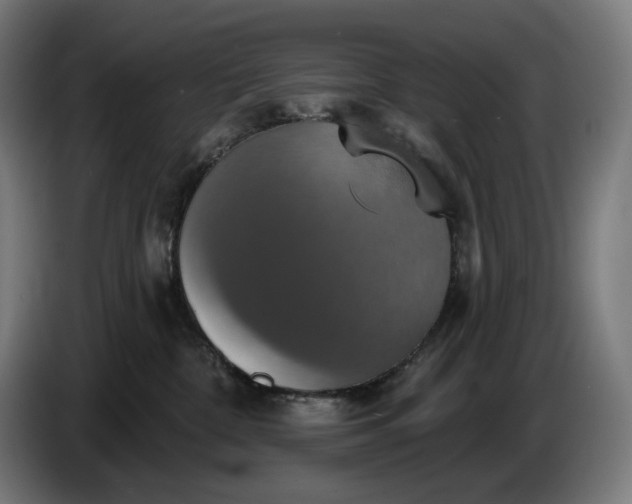 X0000087410332200705041253