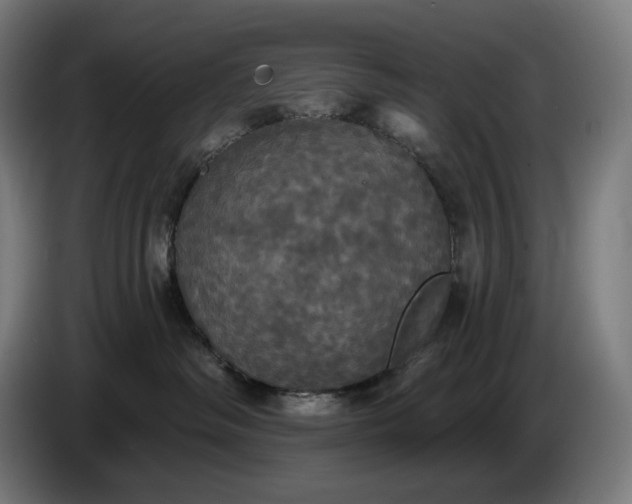 X0000087410334200705041253