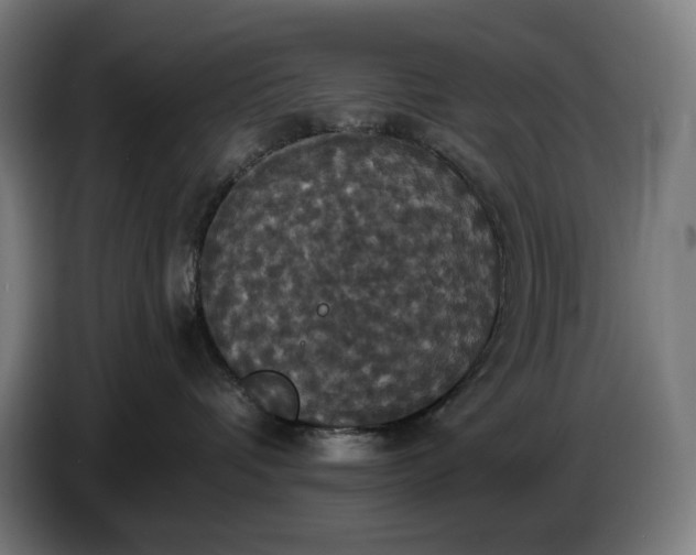 X0000087410336200705041253