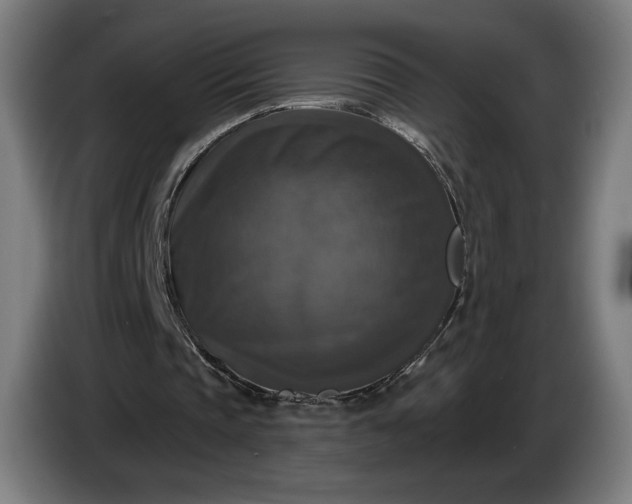 X0000087410337200705041252