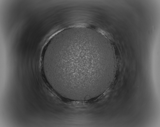 X0000087410338200705041252