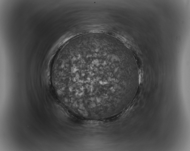 X0000087410339200705041252