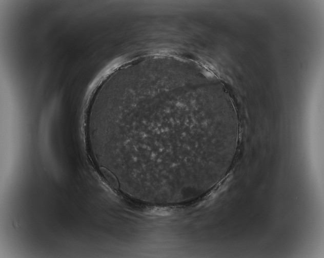 X0000087410341200705041252