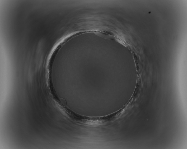 X0000087410342200705041252