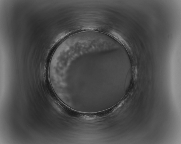 X0000087410346200705041252