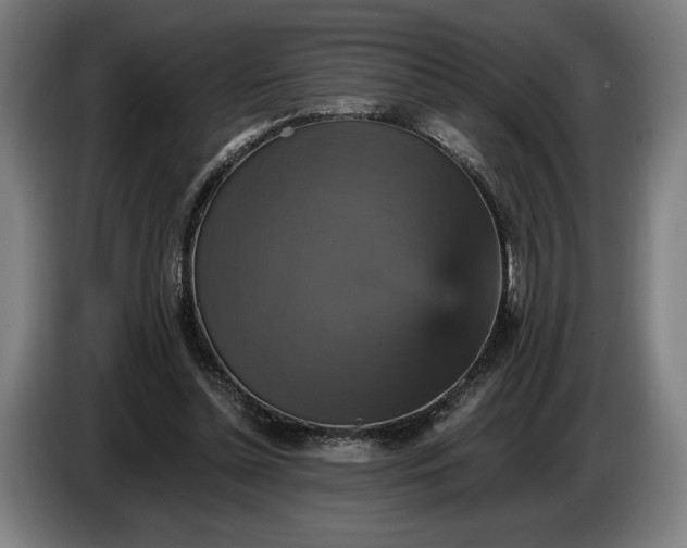 X0000087410348200705041252