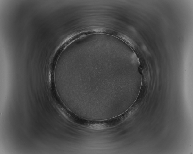 X0000087410350200705041252