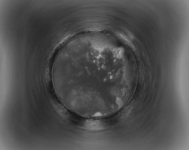 X0000087410354200705041252