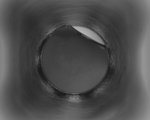 X0000087410355200705041252