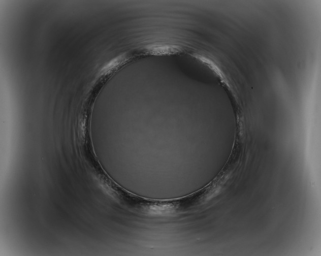 X0000087410357200705041252