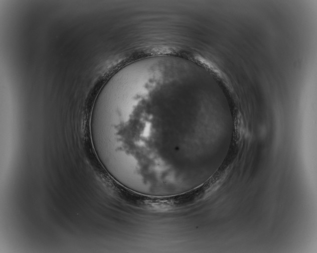 X0000087410359200705041252