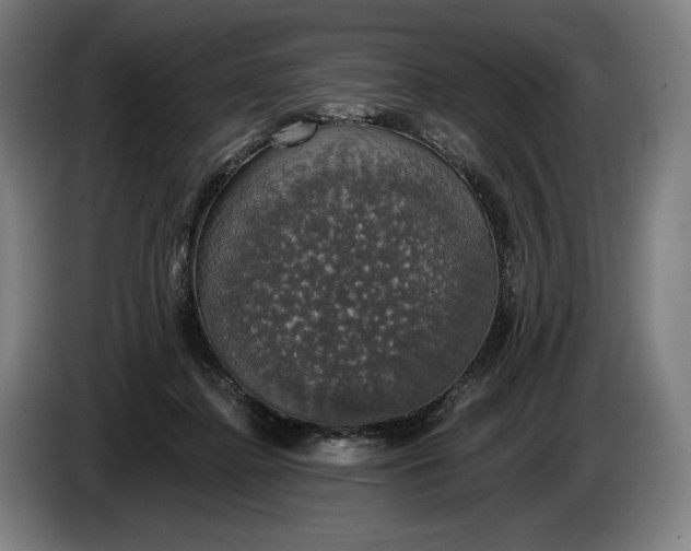 X0000087410364200705041252