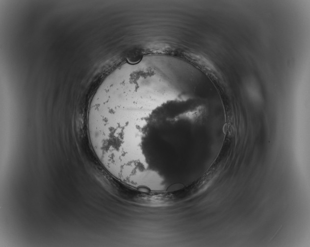 X0000087410365200705041252