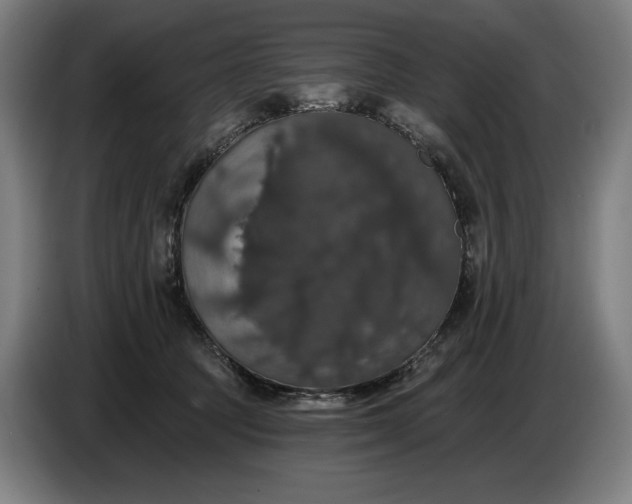 X0000087410369200705041252