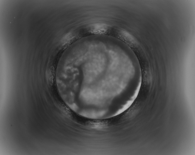 X0000087410370200705041252