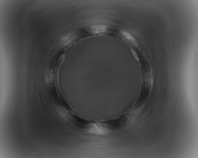 X0000087410372200705041252