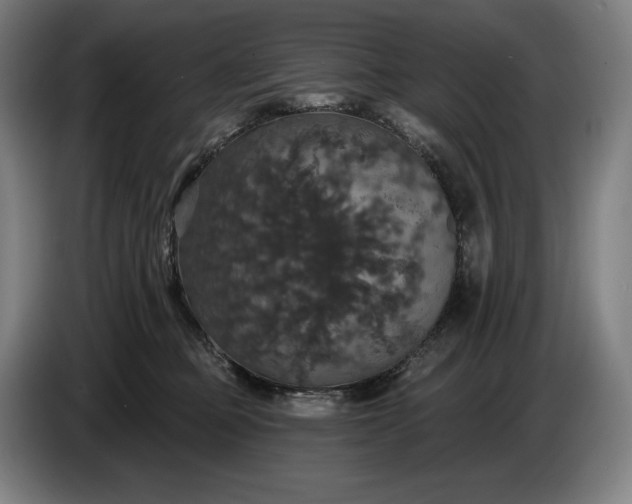 X0000087410373200705041252